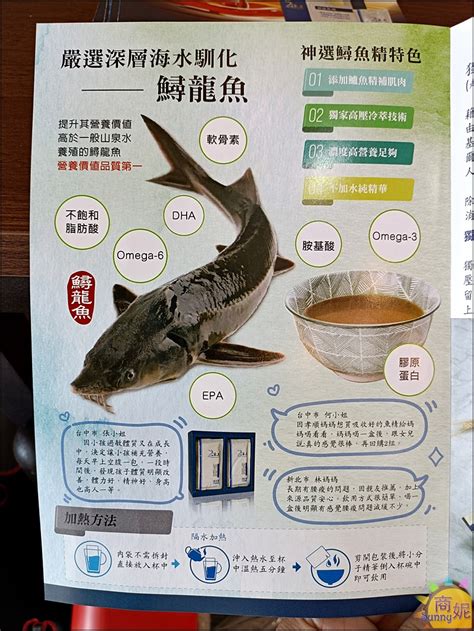 鱘龍魚可以混養嗎|鱘龍魚怎麼飼養？吃什麼？在家養的!可以和雀鱔一起養嗎？